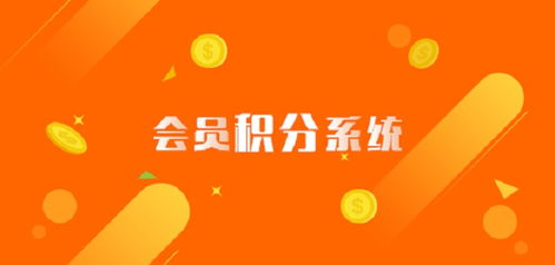 巧用积分制,助力企业数字化管理